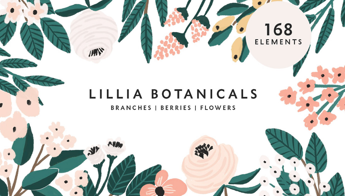 lillia botanicals floral illustrations