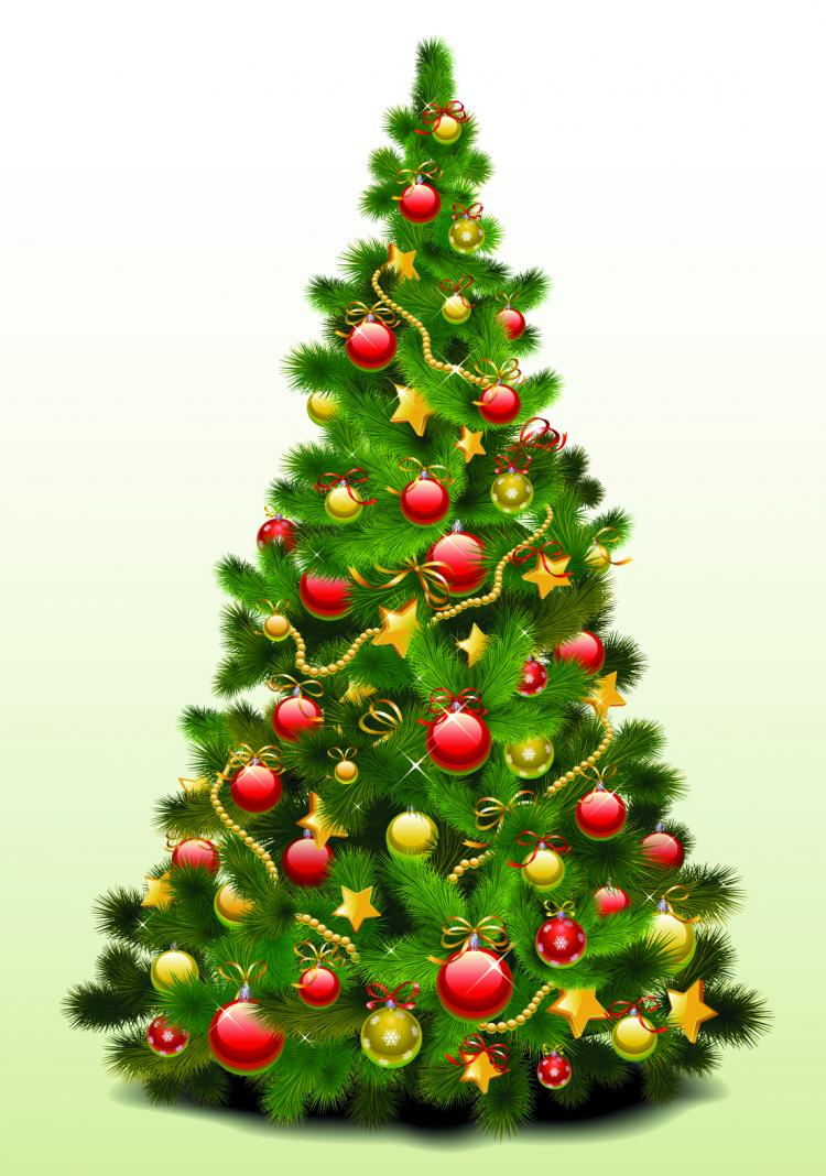 Image result for christmas tree free image
