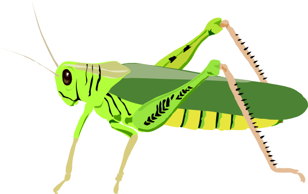 free-vector-grasshopper-locust-clip-art_