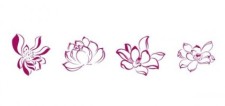 free vector Zhang daqian style lotus line drawing killer production