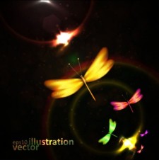 free vector Colorful dragonfly vector