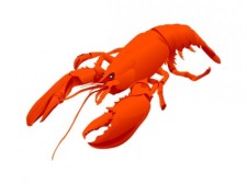 free vector Lobster vector