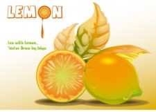 free vector Lemon vector graphics