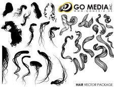 free vector Go media produced vector female hair series