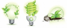 free vector Green Leaf and Energy-Saving Lamps Vector