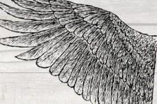 free vector Hand Drawn Wings