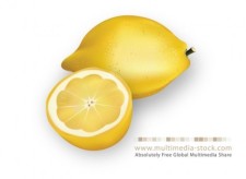 free vector Lemon
