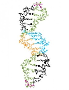 free vector DNA Strand