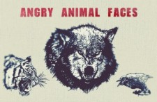 free vector Angry Animal Face Vector