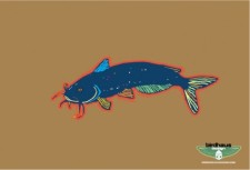 free vector Catfish