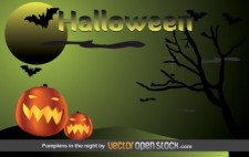 free vector Halloween - Pumpkins in the night