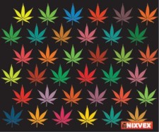 free vector NixVex Free Vector of Colorful Leaves