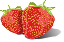 free vector Tasty Strawberries