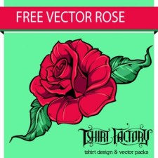 free vector Free Vector Rose