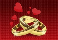 free vector Wedding Rings Vector