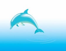 free vector Free Dolphin Vector