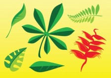 free vector Free Plant Images