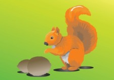 free vector Squirrel