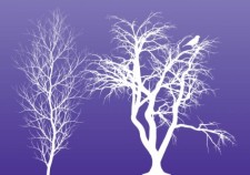 free vector Winter Trees