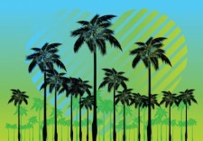 free vector Free Palm Tree Vectors