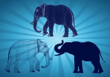 free vector Elephant Graphics