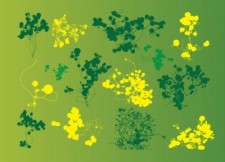 free vector Nature Graphics