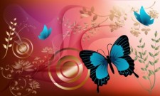 free vector Butterfly Graphics