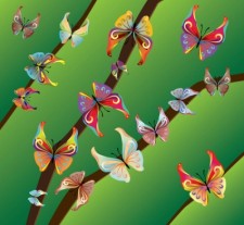 free vector Beautiful Butterflies
