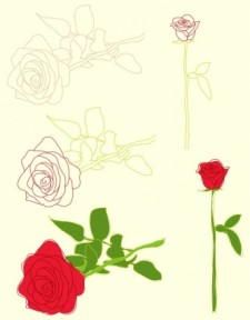 free vector Roses Illustrations
