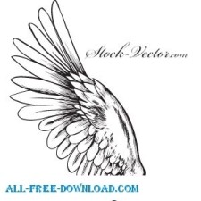 free vector Angel wing