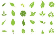 free vector Going Green with Leaves