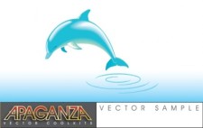 free vector Dolphin Vector