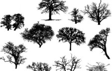 free vector Vector Art: Trees