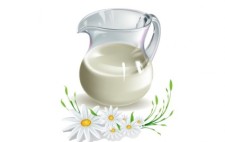 free vector MILK AND CAMOMILE VECTOR