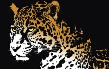 free vector Jaguar