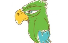 free vector Parrot