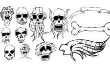 free vector Different types of skulls free vector