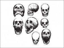 free vector Scribble Skulls