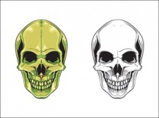 free vector Two Skulls
