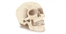 free vector Halloween Skull Vector