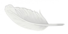 free vector Feather Vector