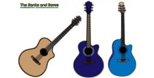 free vector Acoustic guitars vector