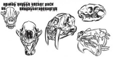 free vector Animal skulls vector pack