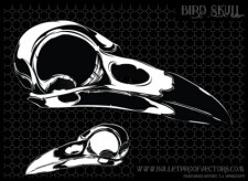 free vector Free Bird Skull