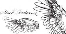 free vector Free Vector Angelic Wing