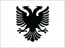 free vector 
								Albanian Vector Eagle							