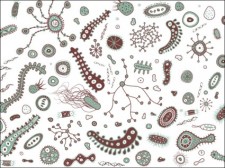 free vector 
								Bacteria and Viruses Vector							