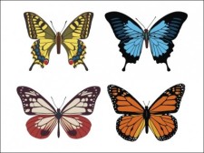 free vector 
								Butterflies							