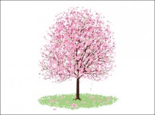 free vector 
								Pink Cherry Blossom Tree							