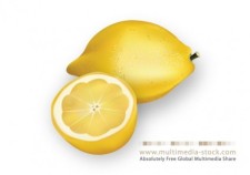 free vector Multimedia Stock Lemon